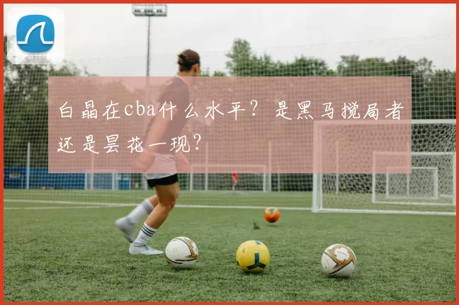 白晶在cba什么水平？是黑马搅局者还是昙花一现？