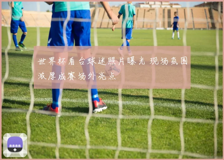 世界杯看台球迷照片曝光 现场氛围浓厚成赛场外亮点