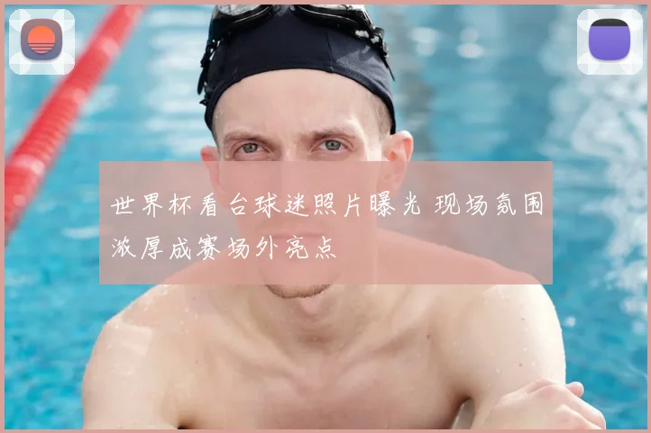 世界杯看台球迷照片曝光 现场氛围浓厚成赛场外亮点